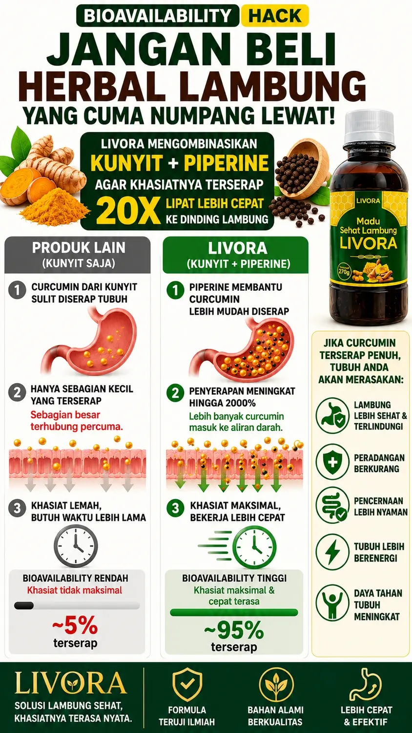 Infografis Bioavailability Hack: Curcumin + Piperine dalam LIVORA