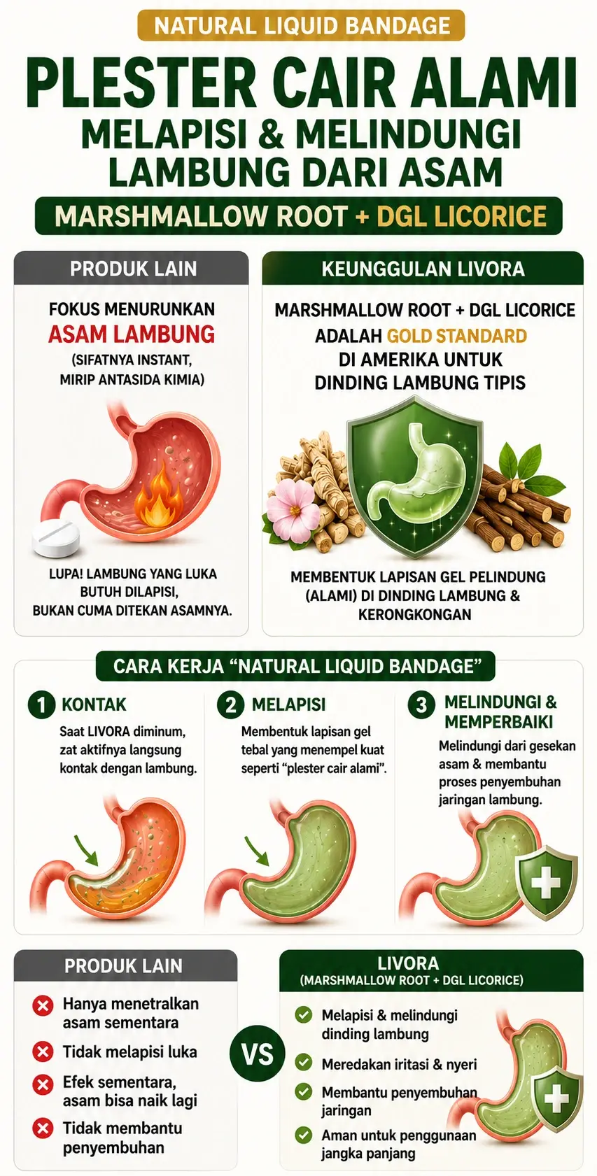 Infografis Natural Liquid Bandage: Marshmallow Root + DGL dalam LIVORA